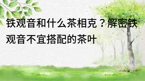 鐵觀音和什么茶相克？解密鐵觀音不宜搭配的茶葉