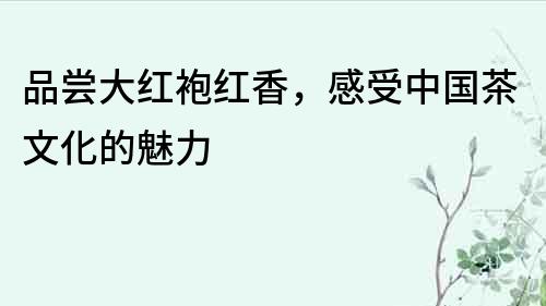 品嘗大紅袍紅香，感受中國茶文化的魅力