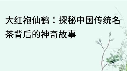 大紅袍仙鶴：探秘中國傳統名茶背后的神奇故事