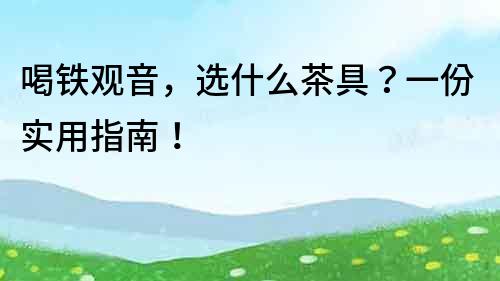 喝鐵觀(guān)音，選什么茶具？一份實(shí)用指南！