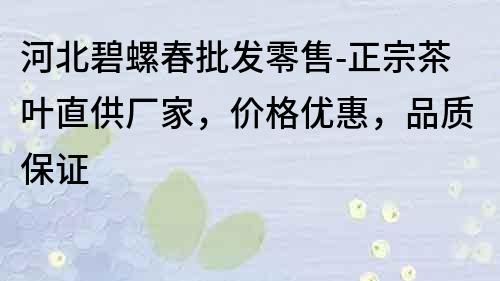 河北碧螺春批發(fā)零售-正宗茶葉直供廠家，價格優(yōu)惠，品質(zhì)保證