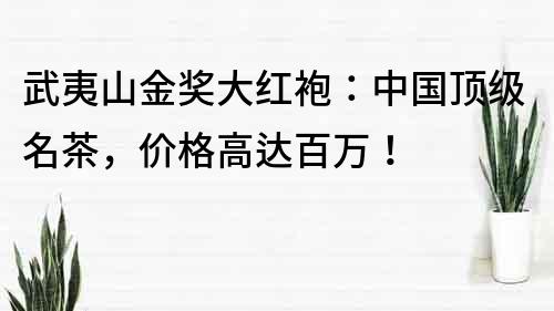 武夷山金獎大紅袍：中國頂級名茶，價格高達百萬！