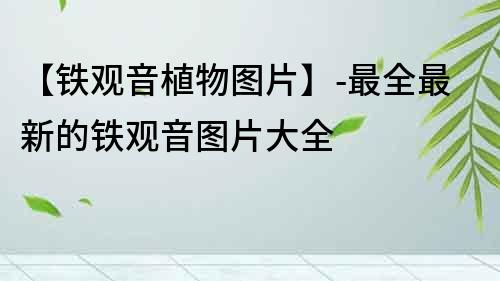 【鐵觀音植物圖片】-最全最新的鐵觀音圖片大全