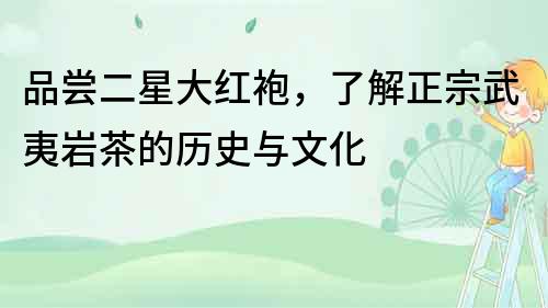品嘗二星大紅袍，了解正宗武夷巖茶的歷史與文化
