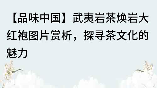 【品味中國】武夷巖茶煥巖大紅袍圖片賞析，探尋茶文化的魅力