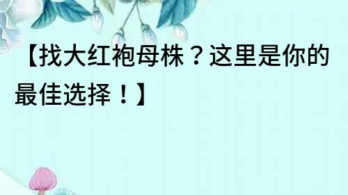 【找大紅袍母株？這里是你的最佳選擇！】