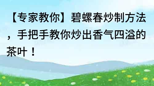 【專家教你】碧螺春炒制方法，手把手教你炒出香氣四溢的茶葉！