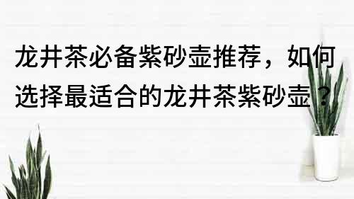 龍井茶必備紫砂壺推薦，如何選擇最適合的龍井茶紫砂壺？