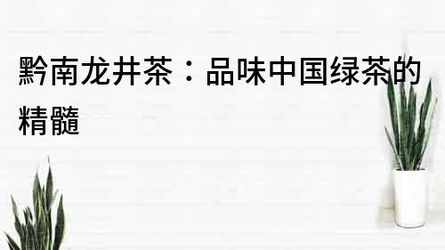 黔南龍井茶：品味中國綠茶的精髓