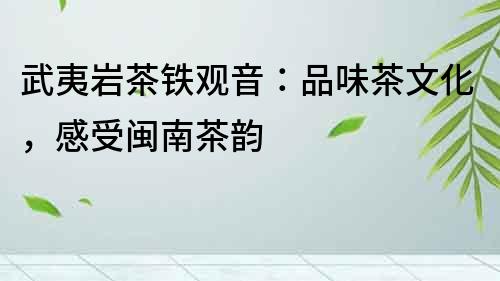 武夷巖茶鐵觀音：品味茶文化，感受閩南茶韻