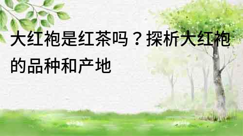 大紅袍是紅茶嗎？探析大紅袍的品種和產(chǎn)地