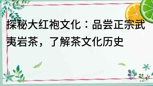 探秘大紅袍文化：品嘗正宗武夷巖茶，了解茶文化歷史