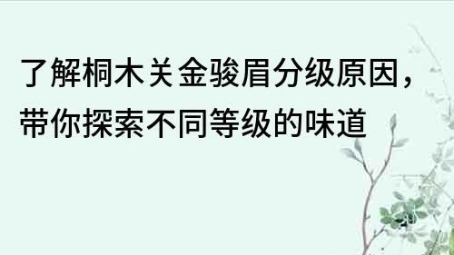 了解桐木關金駿眉分級原因，帶你探索不同等級的味道
