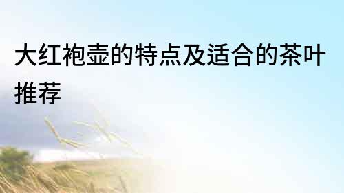 大紅袍壺的特點及適合的茶葉推薦