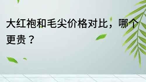 大紅袍和毛尖價格對比，哪個更貴？