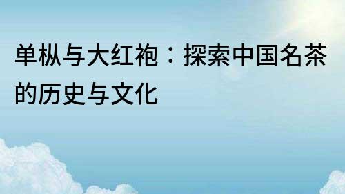 單樅與大紅袍：探索中國名茶的歷史與文化