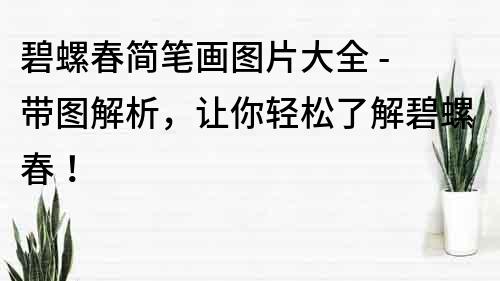 碧螺春簡筆畫圖片大全 - 帶圖解析，讓你輕松了解碧螺春！