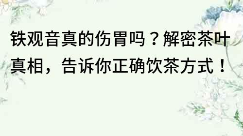 鐵觀音真的傷胃嗎？解密茶葉真相，告訴你正確飲茶方式！