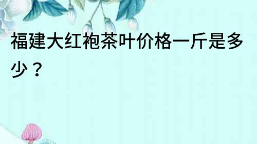 福建大紅袍茶葉價格一斤是多少？