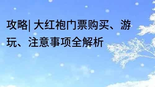 攻略| 大紅袍門票購買、游玩、注意事項全解析