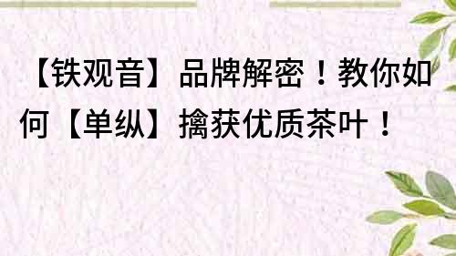 【鐵觀音】品牌解密！教你如何【單縱】擒獲優質茶葉！