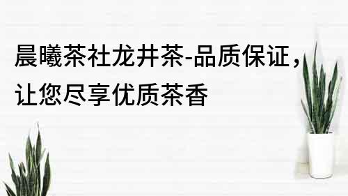 晨曦茶社龍井茶-品質保證，讓您盡享優質茶香
