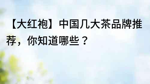 【大紅袍】中國幾大茶品牌推薦，你知道哪些？