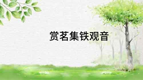 賞茗集鐵觀音
