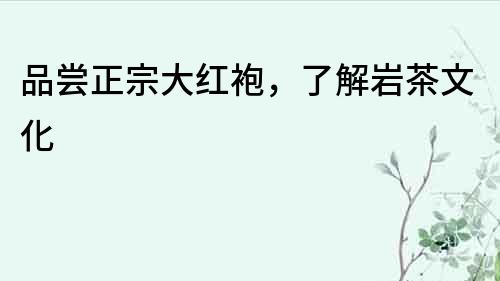 品嘗正宗大紅袍，了解巖茶文化