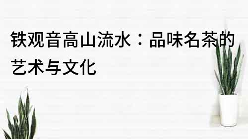 鐵觀音高山流水：品味名茶的藝術與文化