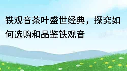 鐵觀音茶葉盛世經典，探究如何選購和品鑒鐵觀音