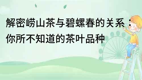 解密嶗山茶與碧螺春的關系：你所不知道的茶葉品種