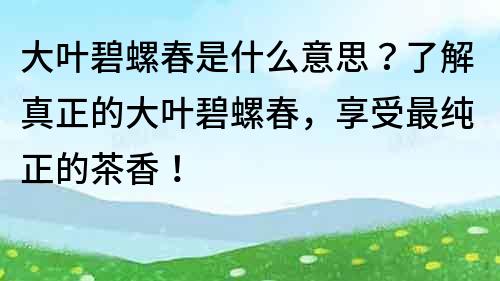 大葉碧螺春是什么意思？了解真正的大葉碧螺春，享受最純正的茶香！