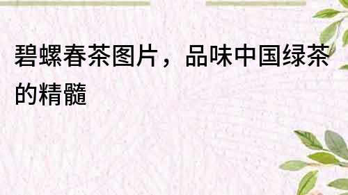 碧螺春茶圖片，品味中國綠茶的精髓