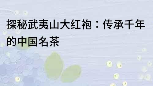 探秘武夷山大紅袍：傳承千年的中國名茶