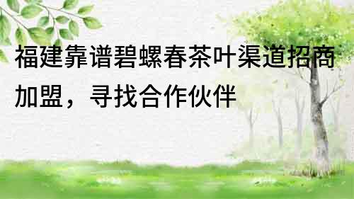 福建靠譜碧螺春茶葉渠道招商加盟，尋找合作伙伴
