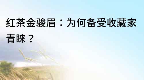 紅茶金駿眉：為何備受收藏家青睞？