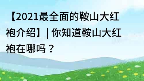 【2021最全面的鞍山大紅袍介紹】| 你知道鞍山大紅袍在哪嗎？