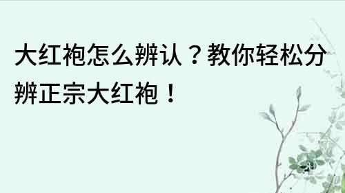大紅袍怎么辨認？教你輕松分辨正宗大紅袍！