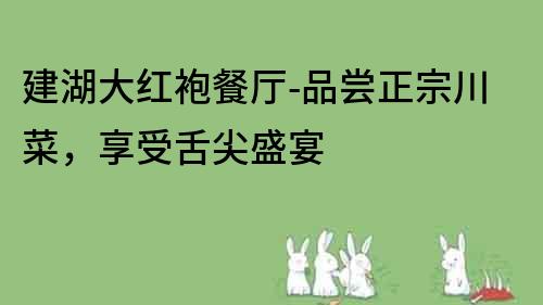 建湖大紅袍餐廳-品嘗正宗川菜，享受舌尖盛宴