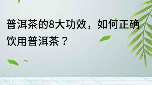 普洱茶的8大功效，如何正確飲用普洱茶？