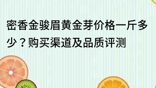 密香金駿眉黃金芽價格一斤多少？購買渠道及品質(zhì)評測