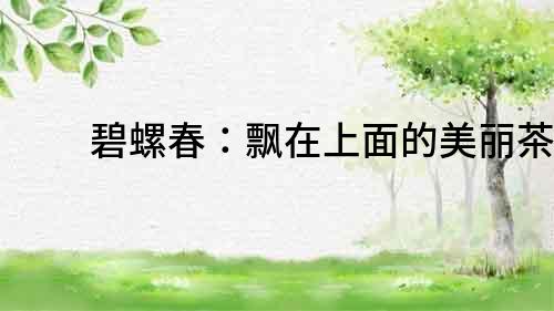碧螺春：飄在上面的美麗茶葉