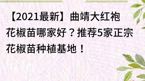 【2021最新】曲靖大紅袍花椒苗哪家好？推薦5家正宗花椒苗種植基地！
