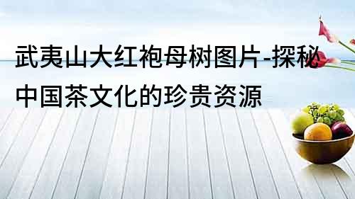 武夷山大紅袍母樹圖片-探秘中國茶文化的珍貴資源