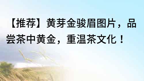 【推薦】黃芽金駿眉圖片，品嘗茶中黃金，重溫茶文化！