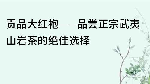 貢品大紅袍——品嘗正宗武夷山巖茶的絕佳選擇