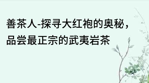 善茶人-探尋大紅袍的奧秘，品嘗最正宗的武夷巖茶