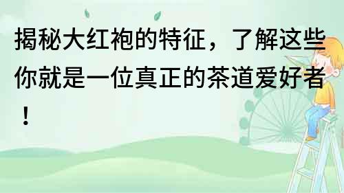 揭秘大紅袍的特征，了解這些你就是一位真正的茶道愛好者！