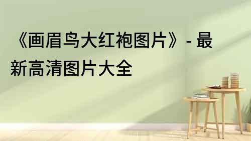《畫眉鳥大紅袍圖片》- 最新高清圖片大全